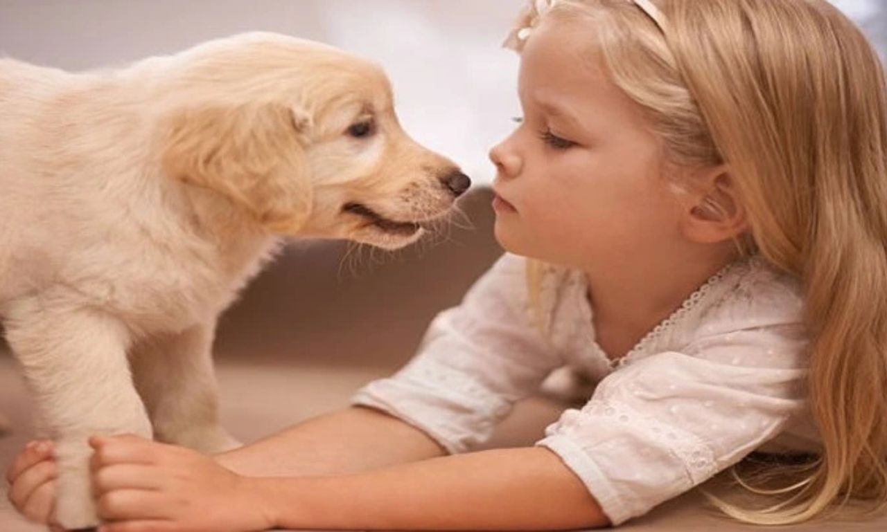 Puppygirlxd: Behind the Scenes of a Rising Star in Online Entertainment